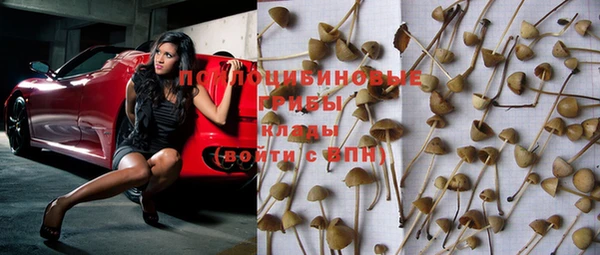 ГАЛЛЮЦИНОГЕННЫЕ ГРИБЫ Арсеньев