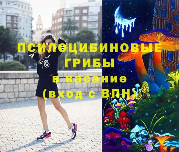 крисы Алзамай