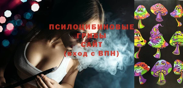 PSILOCYBIN Алексеевка