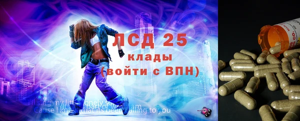крисы Алзамай