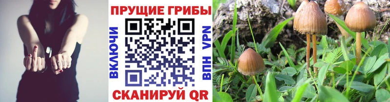 мориарти официальный сайт  наркошоп  Боровск  Псилоцибиновые грибы мухоморы 